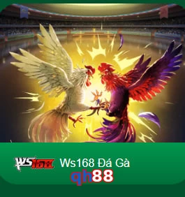 qh88